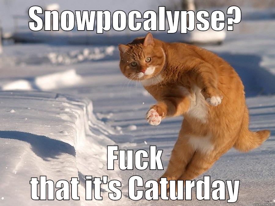 SNOWPOCALYPSE? FUCK THAT IT'S CATURDAY Misc