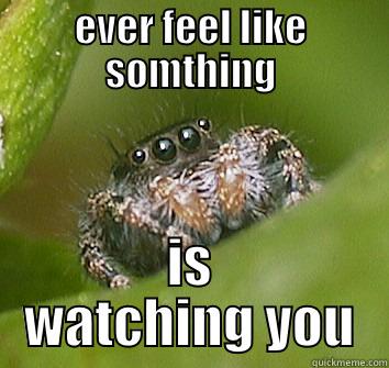EVER FEEL LIKE SOMTHING IS WATCHING YOU Misunderstood Spider