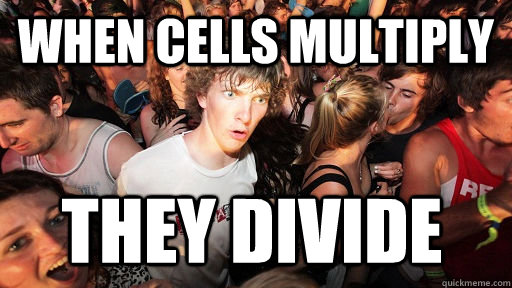 When Cells Multiply They Divide Sudden Clarity Clarence Quickmeme