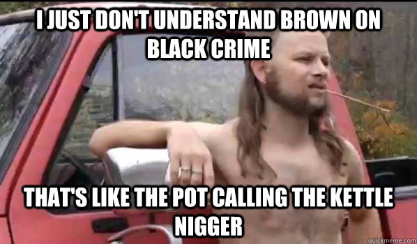 I just don't understand brown on black crime that's like the pot calling the kettle nigger  Almost Politically Correct Redneck