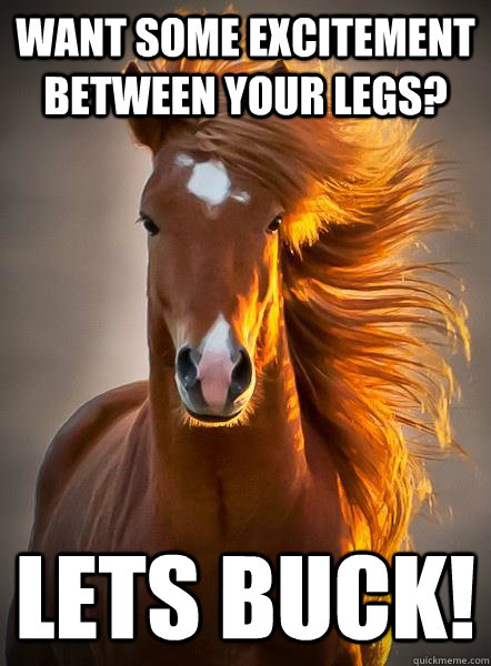 Want some excitement between your legs?  Lets buck!  - Want some excitement between your legs?  Lets buck!   Ridiculously Photogenic Horse