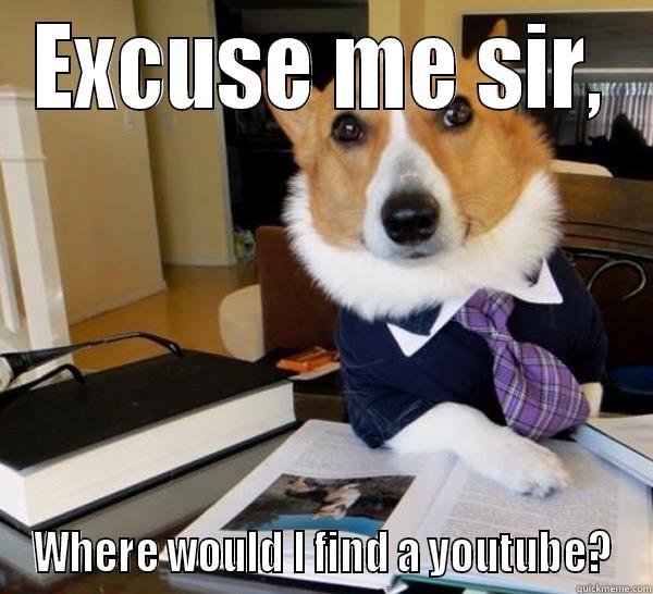 EXCUSE ME SIR, WHERE WOULD I FIND A YOUTUBE? Lawyer Dog