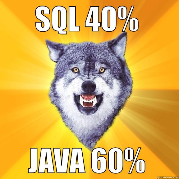SQL 40% JAVA 60% Courage Wolf