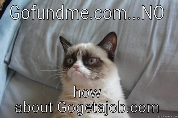 GOFUNDME.COM...NO HOW ABOUT GOGETAJOB.COM Grumpy Cat