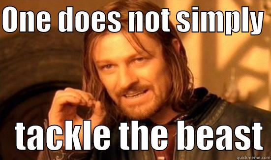 ONE DOES NOT SIMPLY     TACKLE THE BEAST Boromir