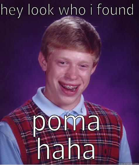 HEY LOOK WHO I FOUND  POMA HAHA Bad Luck Brian