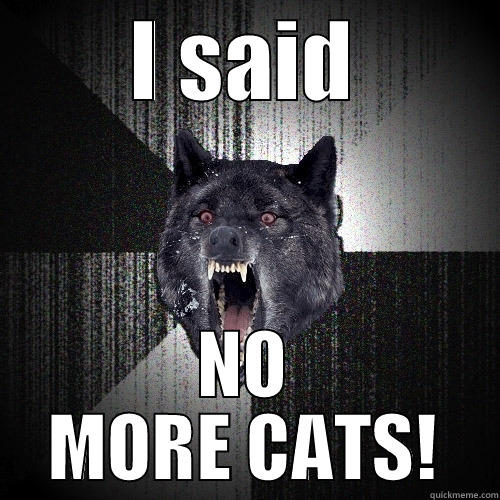I SAID NO MORE CATS! Insanity Wolf