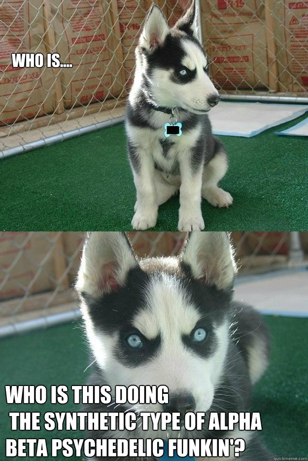   WHO IS.... Who is this doing
 the synthetic type of alpha beta psychedelic funkin'?  Insanity puppy