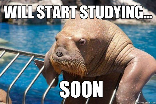 Will start studying... soon  Soon walrus