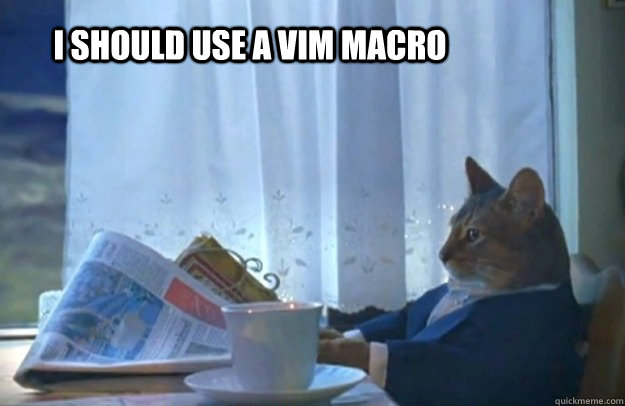 I should use a vim macro  Sophisticated Cat
