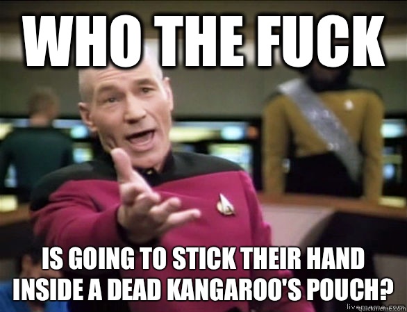 who the fuck Is going to stick their hand inside a dead kangaroo's pouch?  Annoyed Picard HD