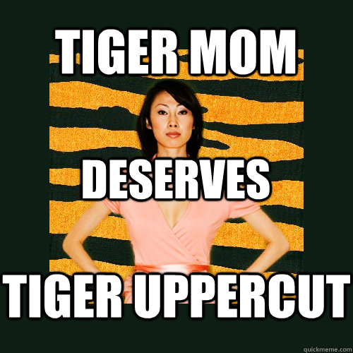 tiger mom deserves tiger uppercut  Tiger Mom