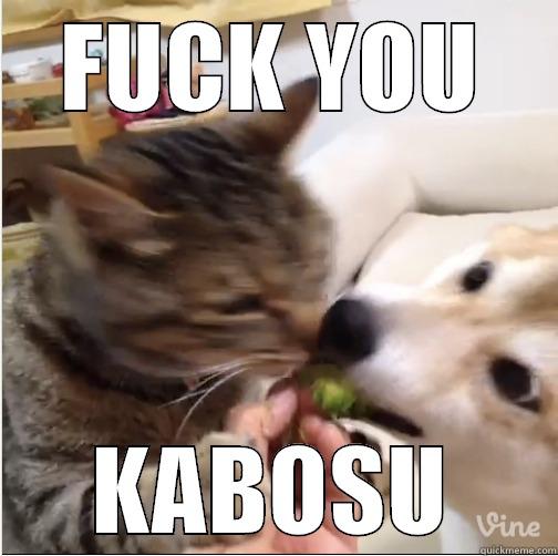 FUCK YOU KABOSU Misc