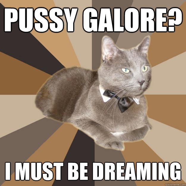 pussy galore? I must be dreaming - pussy galore? I must be dreaming  Pleasure bond cat