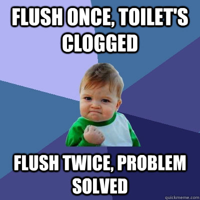flush once, toilet's clogged flush twice, problem solved - flush once, toilet's clogged flush twice, problem solved  Success Kid