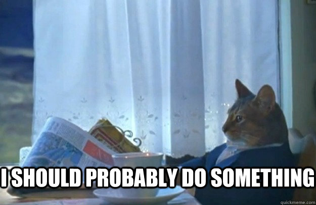  I should probably do something  Sophisticated Cat