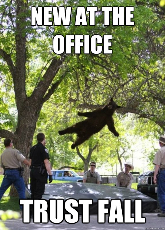 new at the office trust fall - new at the office trust fall  Tranquilized Bear