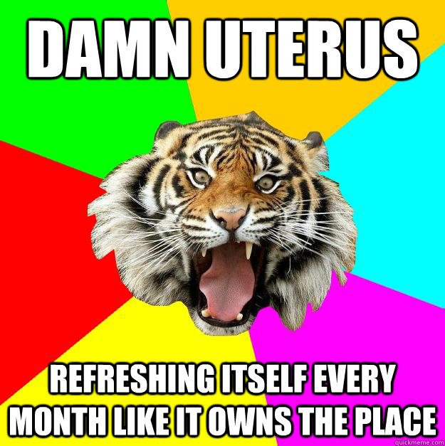 Damn Uterus REFRESHING ITSELF EVERY MONTH LIKE IT OWNS THE PLACE  Time of the Month Tiger
