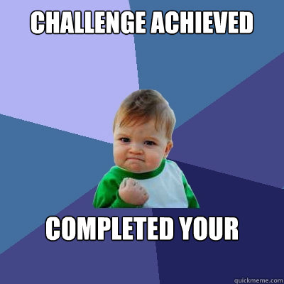 challenge achieved completed your life!!!!  Success Kid