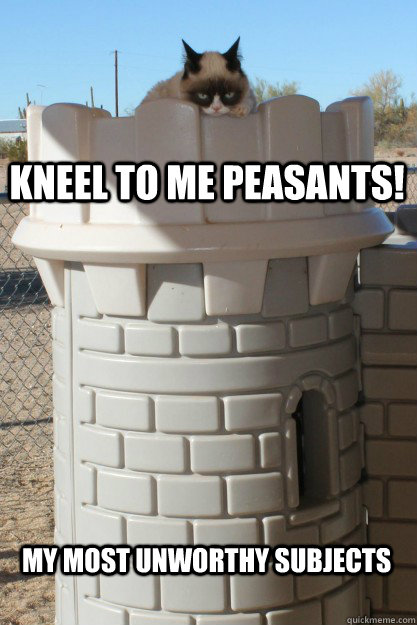 Kneel to me PEASANTS! my most unworthy subjects  