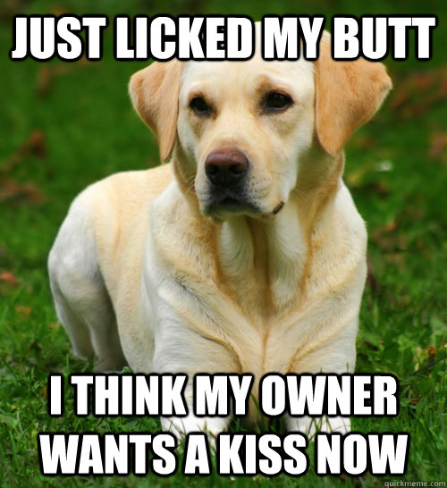 just licked my butt i think my owner wants a kiss now - just licked my butt i think my owner wants a kiss now  Dog Logic