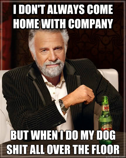 I don't always come home with company but when I do my dog shit all over the floor - I don't always come home with company but when I do my dog shit all over the floor  The Most Interesting Man In The World