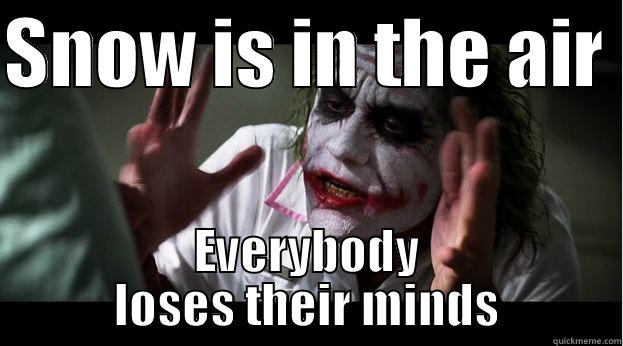 SNOW IS IN THE AIR  EVERYBODY LOSES THEIR MINDS Joker Mind Loss