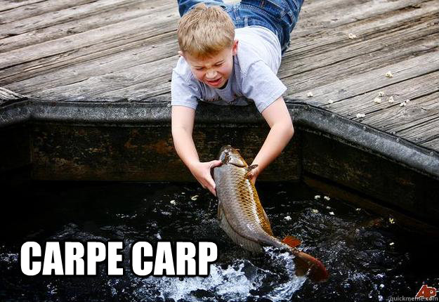 carpe carp  carpe carp