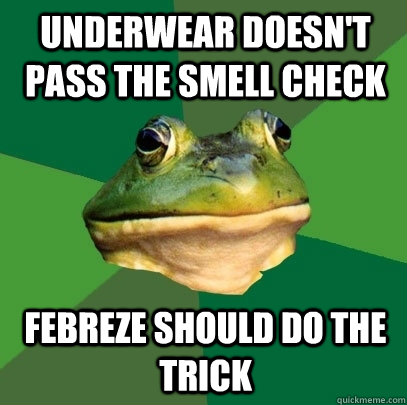 underwear doesn't pass the smell check febreze should do the trick - underwear doesn't pass the smell check febreze should do the trick  Foul Bachelor Frog