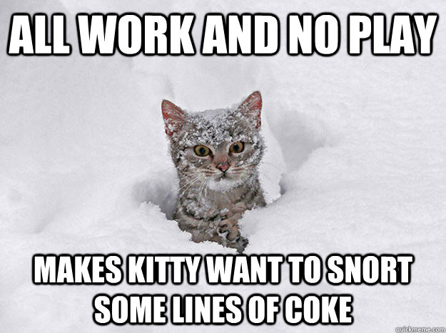 ALL WORK AND NO PLAY MAKES KITTY WANT TO SNORT SOME LINES OF COKE  