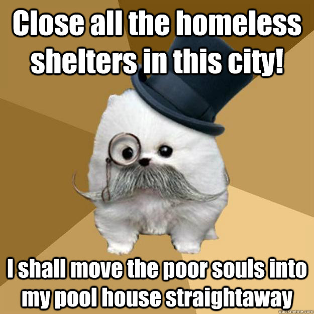 Close all the homeless shelters in this city! I shall move the poor souls into my pool house straightaway  Philanthropist Pomeranian