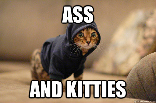 ass and kitties  Hood Cat
