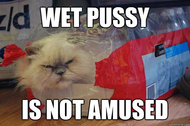 Wet Pussy IS NOT AMUSED  Wet Pussy Is Not Amused