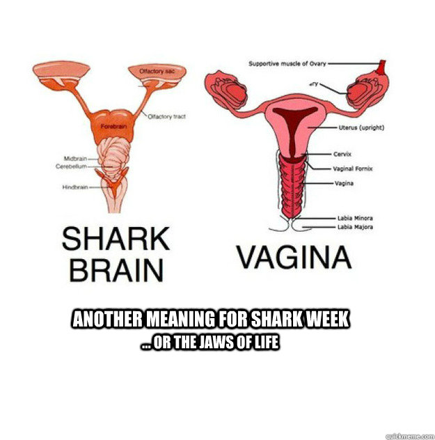 Another meaning for Shark Week ... or the jaws of life - Another meaning for Shark Week ... or the jaws of life  Shark Vagina