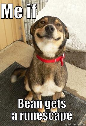 ME IF                BEAU GETS A RUNESCAPE Good Dog Greg