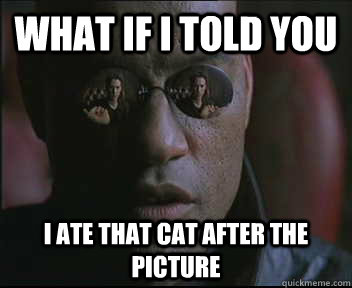 What if I told you I ate that cat after the picture  Morpheus SC