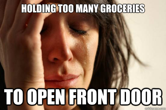 holding too many groceries to open front door  First World Problems
