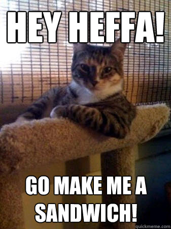 Hey heffa! go make me a sandwich!  The Most Interesting Cat in the World