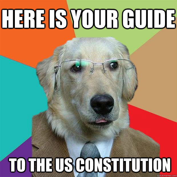 Here is your guide  to the US constitution  Business Dog