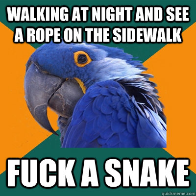 walking at night and see a rope on the sidewalk fuck a snake  Paranoid Parrot