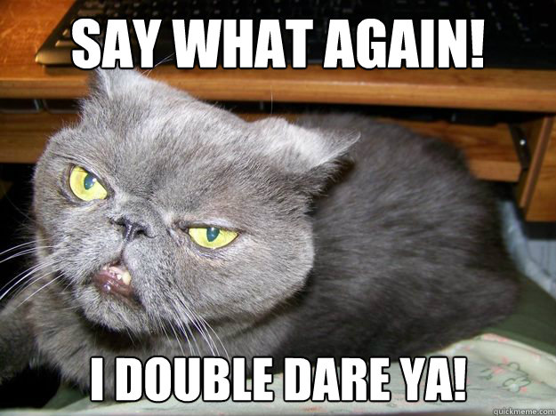 Say What again! I double dare ya! - Say What again! I double dare ya!  Samuel L Jackson Cat