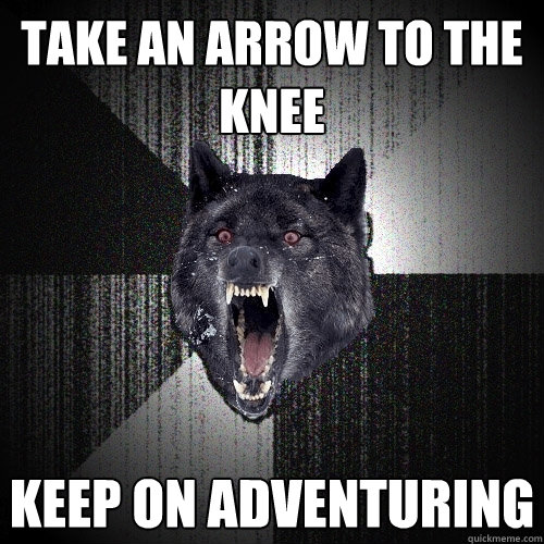Take an arrow to the knee keep on adventuring   Insanity Wolf