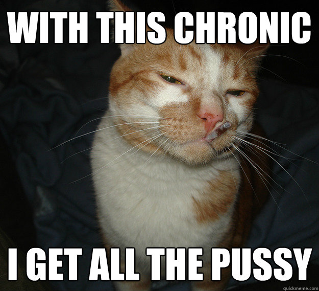 With this chronic I get all the pussy  Cool Cat Craig