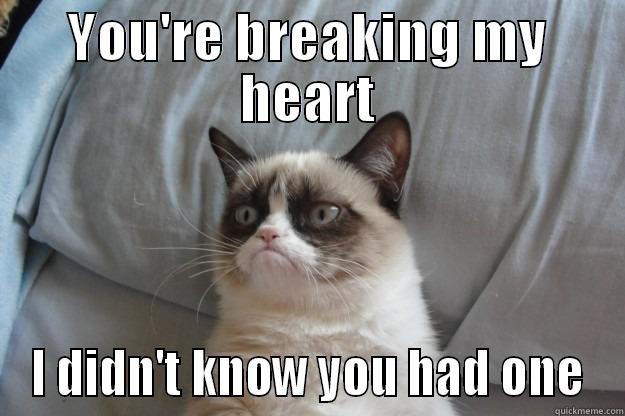 YOU'RE BREAKING MY HEART I DIDN'T KNOW YOU HAD ONE Grumpy Cat