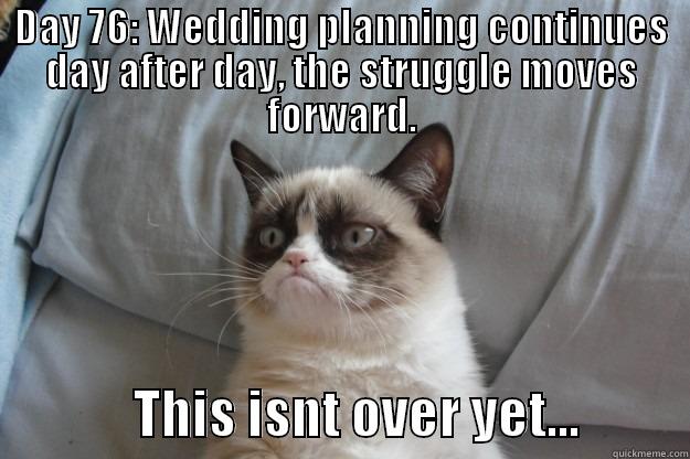 DAY 76: WEDDING PLANNING CONTINUES DAY AFTER DAY, THE STRUGGLE MOVES FORWARD.              THIS ISNT OVER YET...          Grumpy Cat