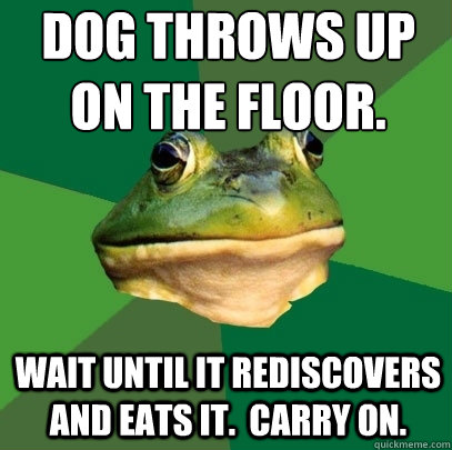 dog throws up on the floor. wait until it rediscovers and eats it.  carry on.  Foul Bachelor Frog
