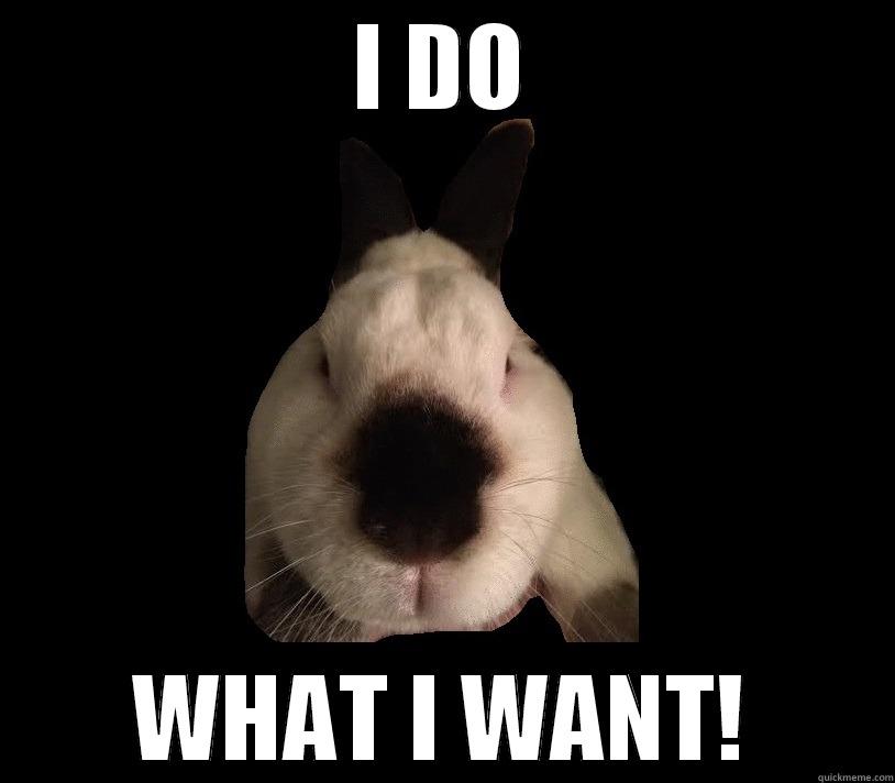 I DO WHAT I WANT! Misc