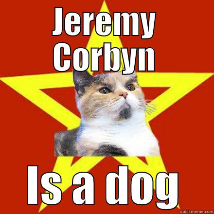 Jeremy Corbyn Cat - JEREMY CORBYN IS A DOG Lenin Cat