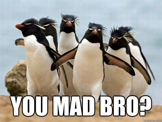 you mad bro?  -  you mad bro?   Penguin