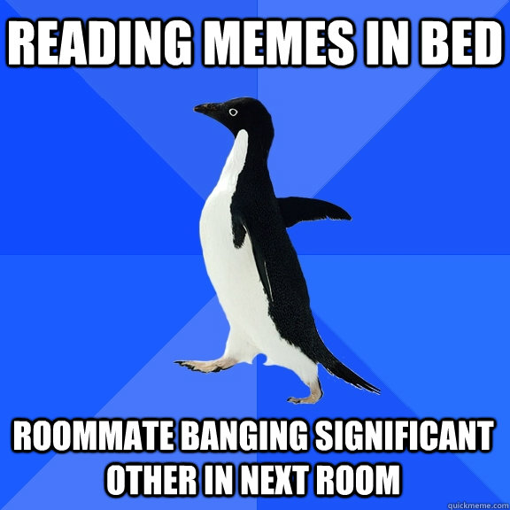Reading memes in bed roommate banging significant other in next room    Socially Awkward Penguin